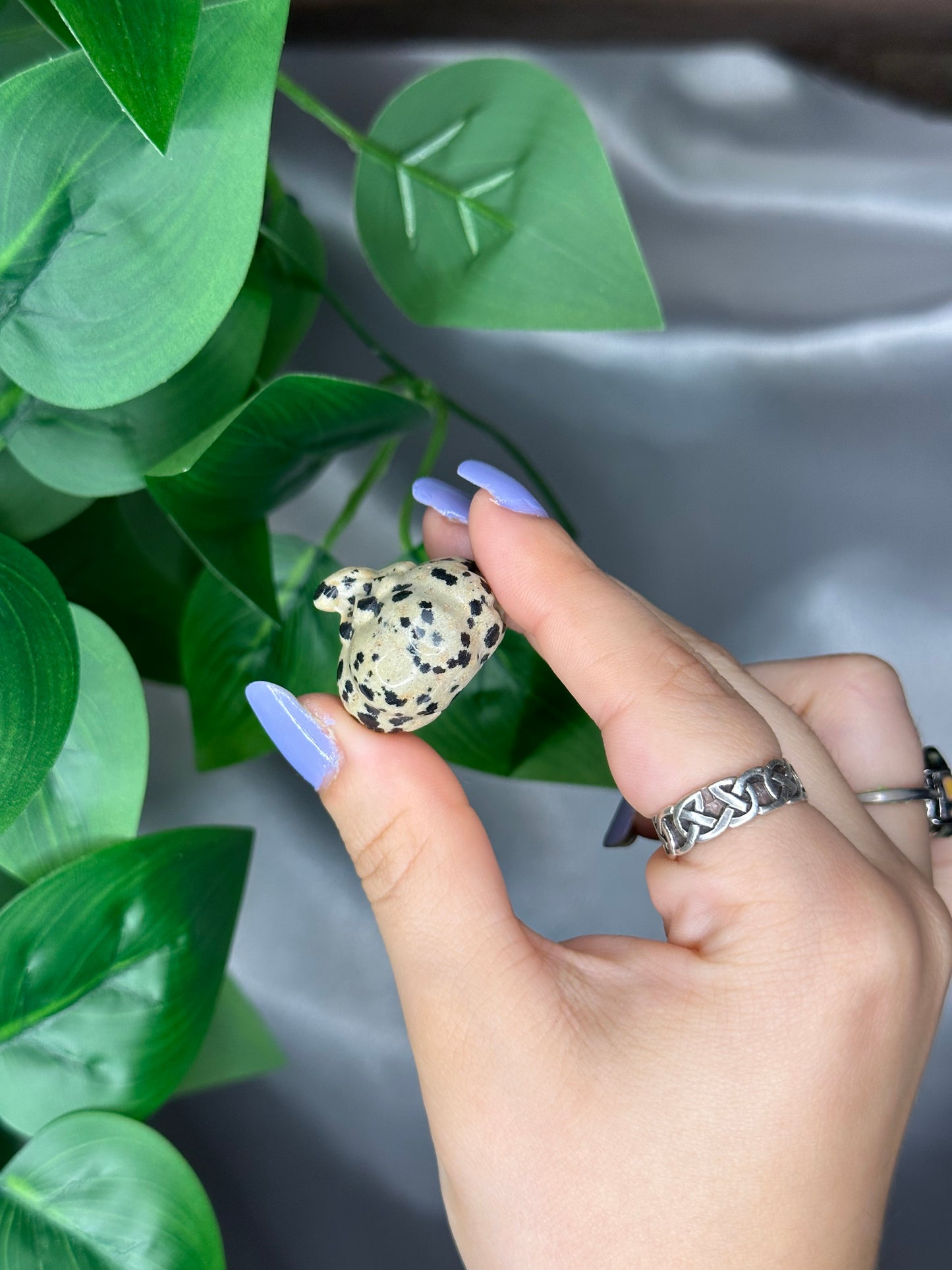 Dalmatian Jasper Pumpkin