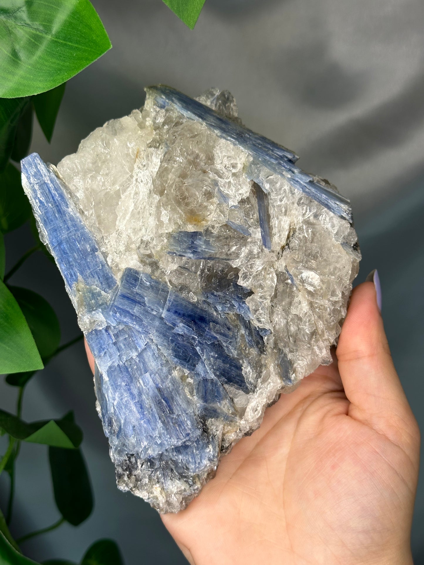 Raw Blue Kyanite & Quartz Cluster