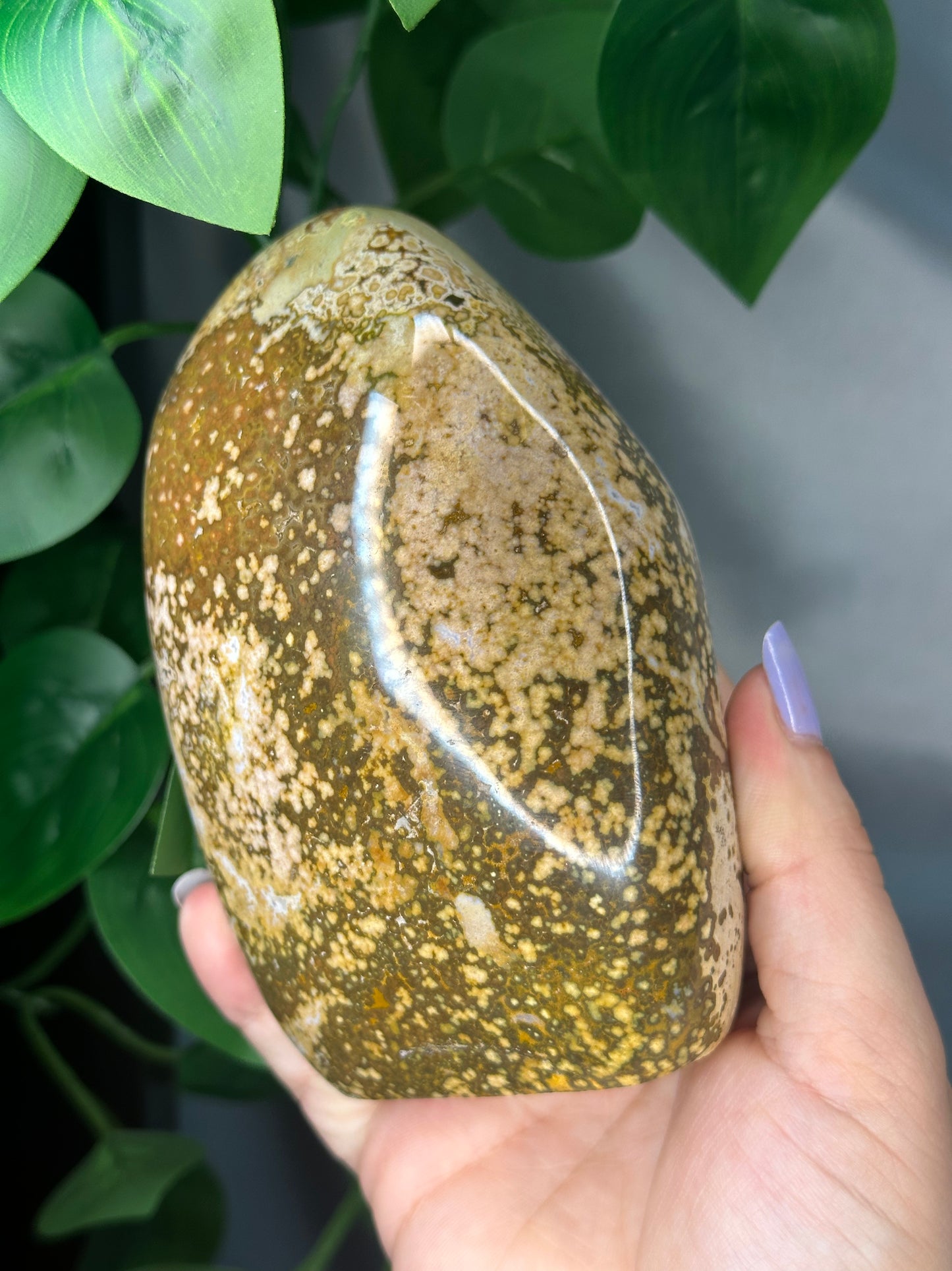 Ocean Jasper Freeform