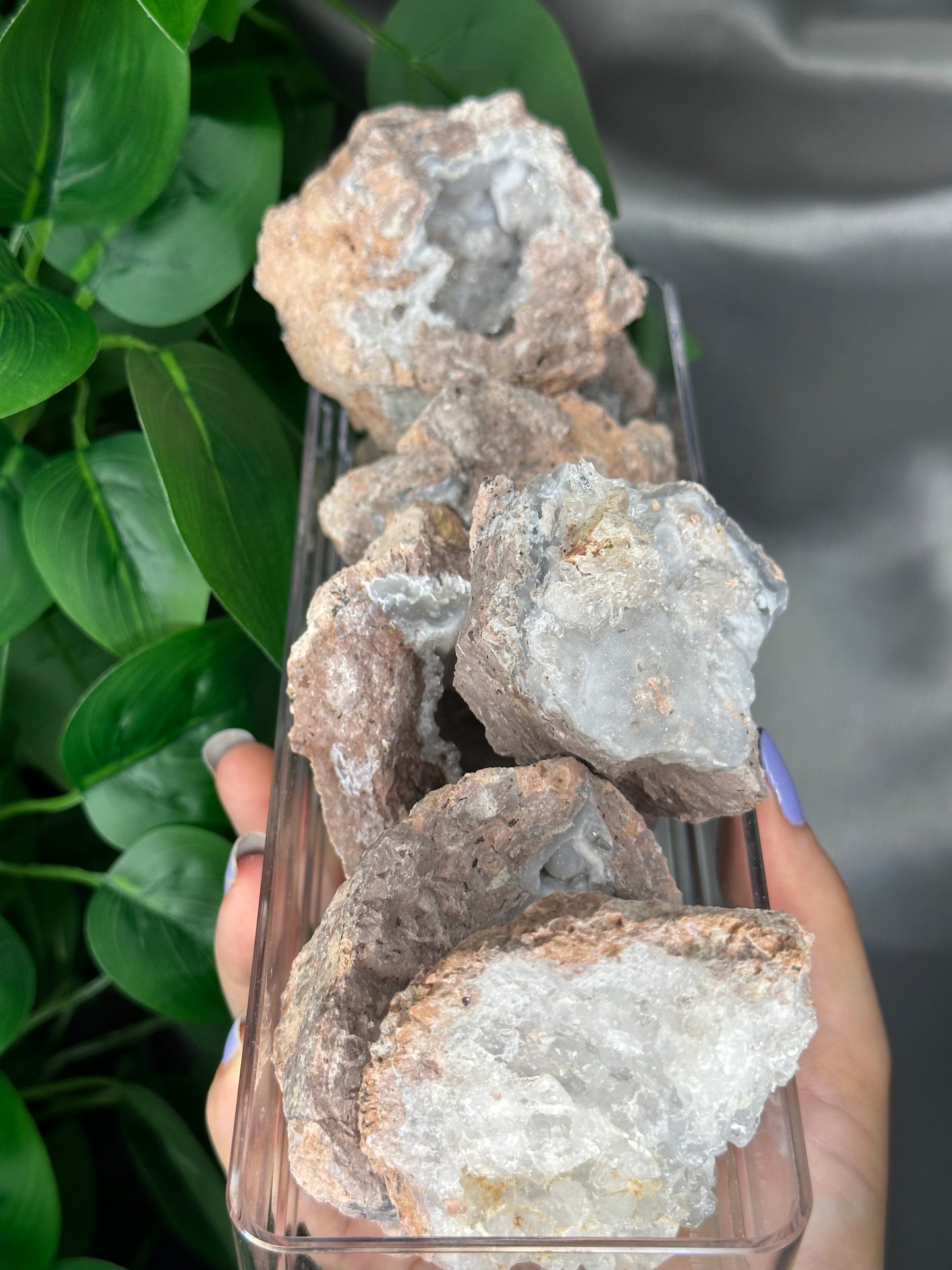 Sonora Mexican Geodes