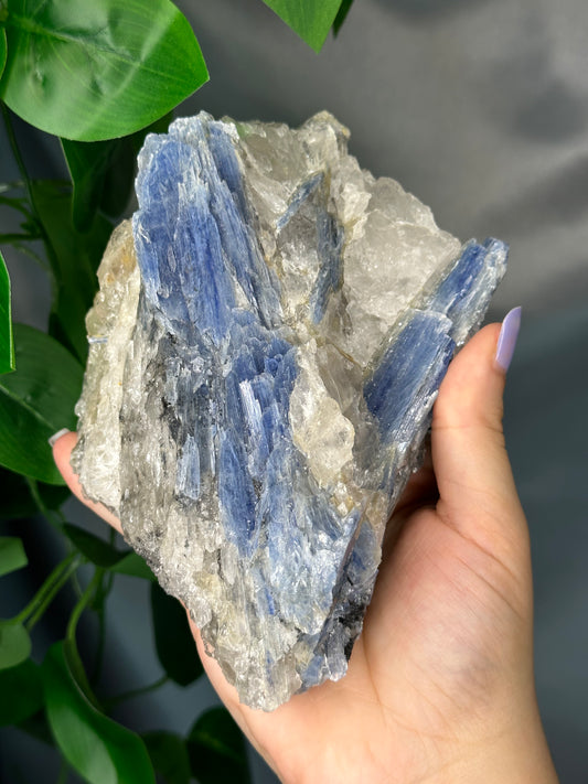 Raw Blue Kyanite & Quartz Cluster