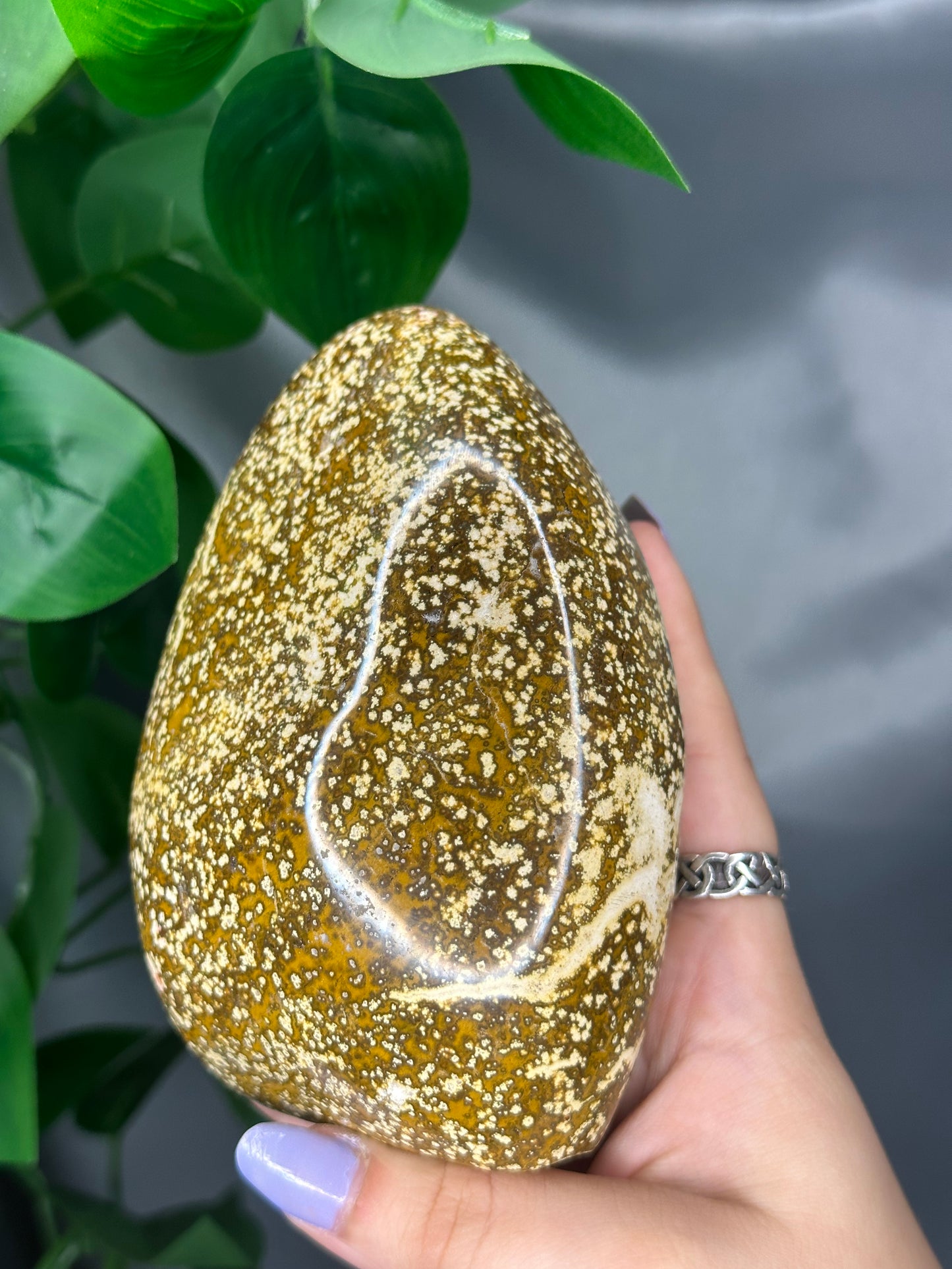 Ocean Jasper Freeform