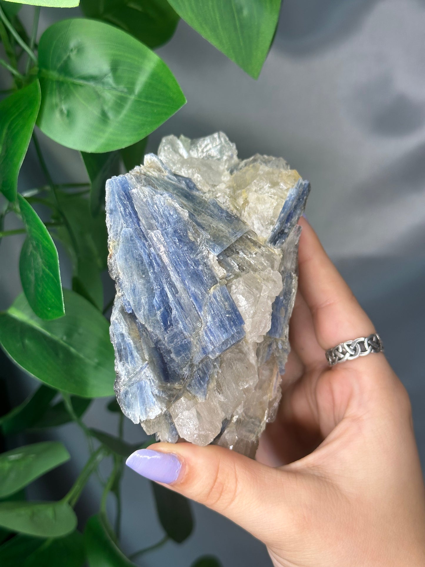 Raw Blue Kyanite & Quartz Cluster