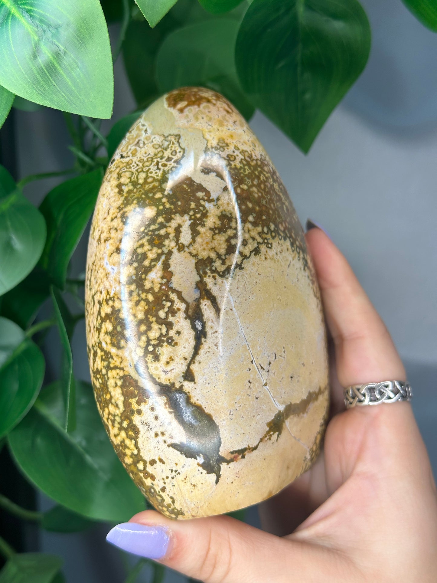 Ocean Jasper Freeform