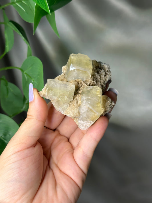 Green Cubic Apophyllite on Chalcedony