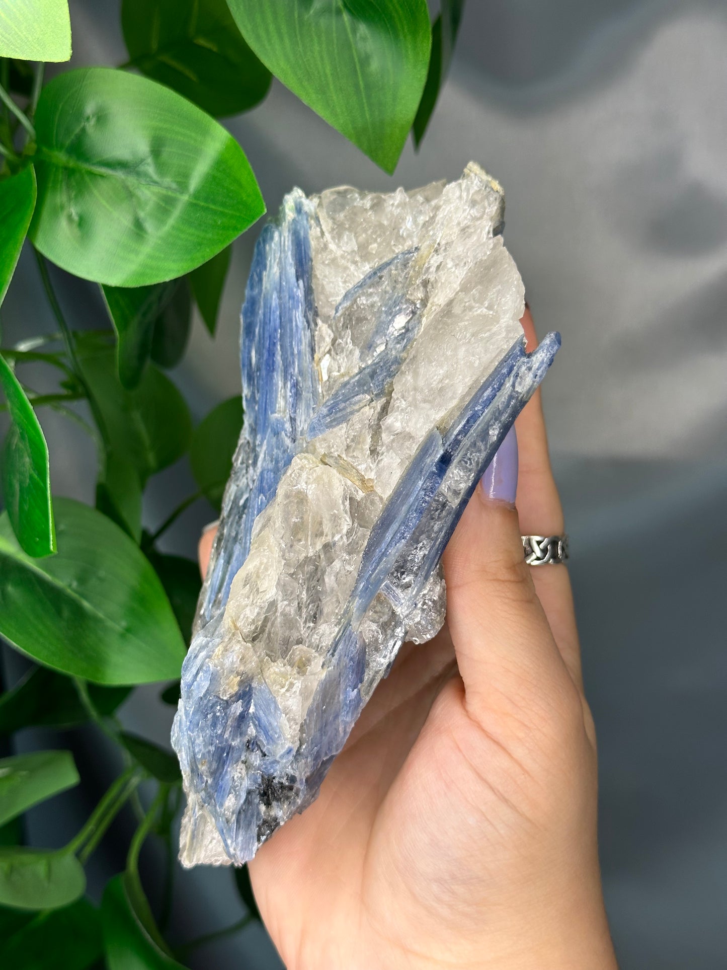 Raw Blue Kyanite & Quartz Cluster