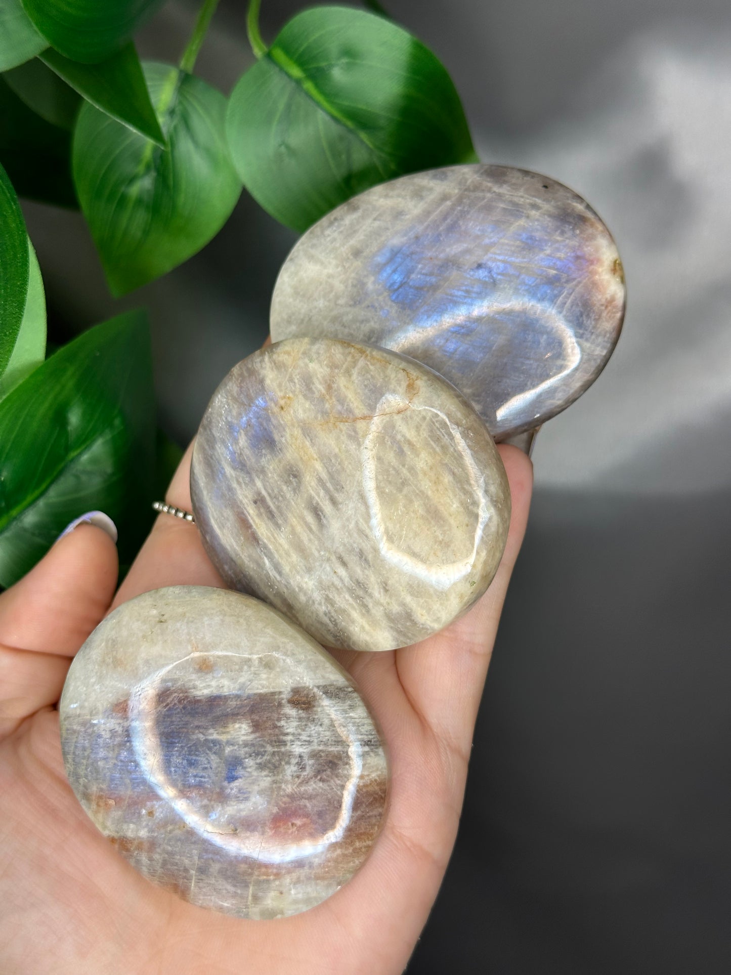 Sunstone in Moonstone Palmstones