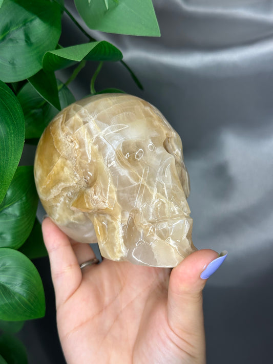 Ivory Banded Onyx Skull